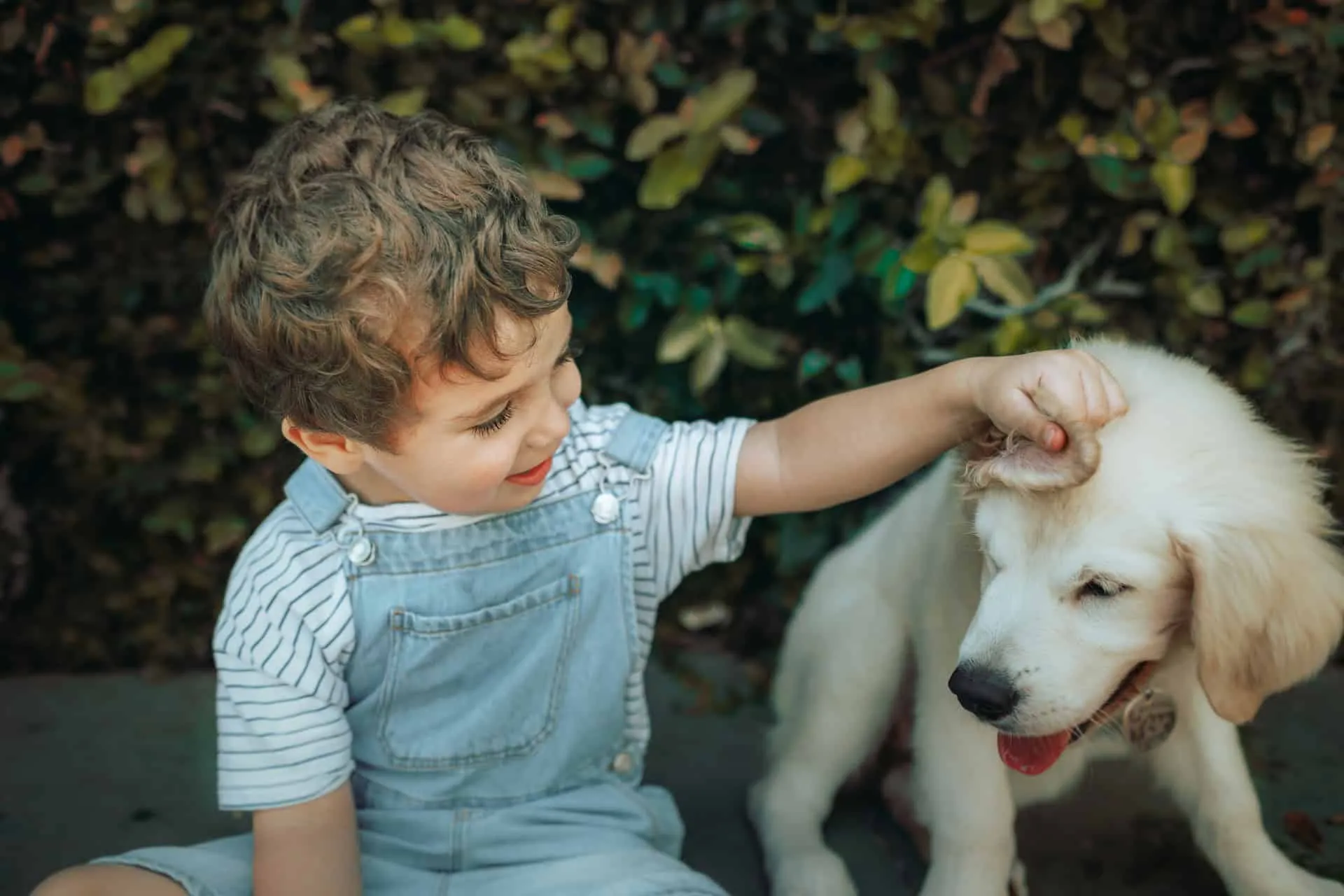 The Architect of Character: Navigating Conscious Parenting in the Age of Distraction