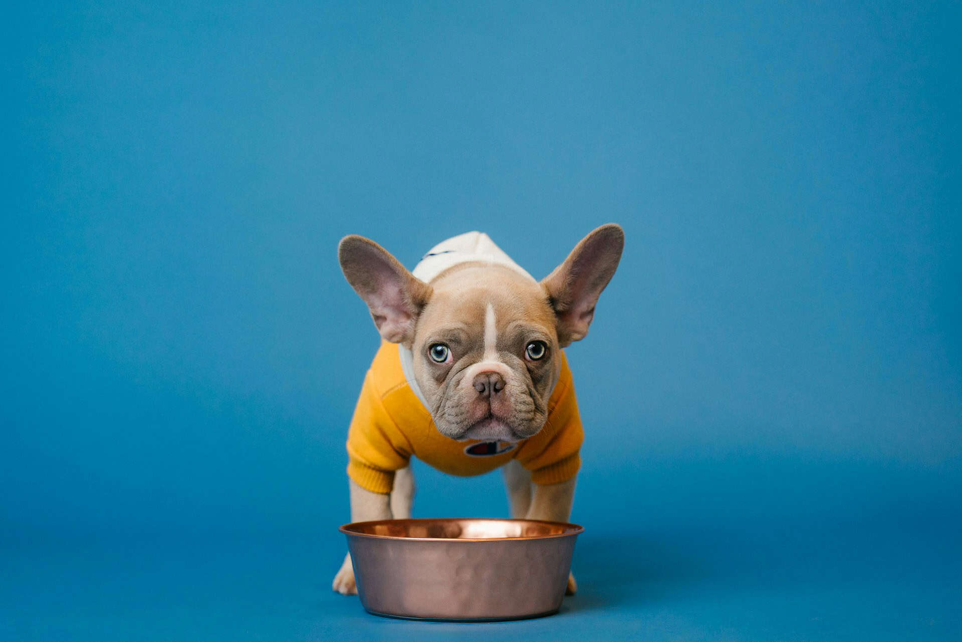 The End Of Instagram Influencers: Why & What To Do Next? As We Know It!