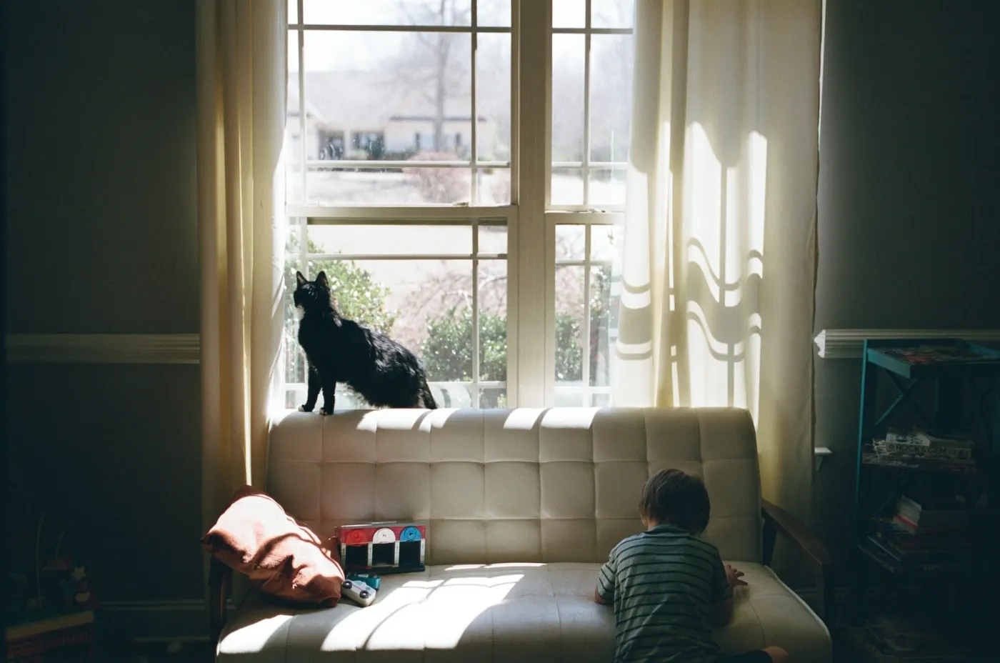 Visual Story