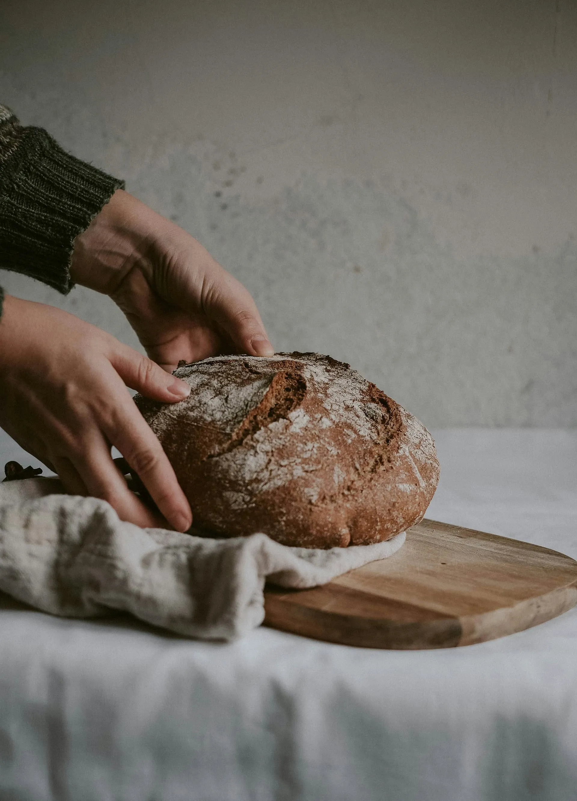 Artisan Bread: Mengapa Ragi Alami (Sourdough) Kembali Dicari oleh Masyarakat Modern?