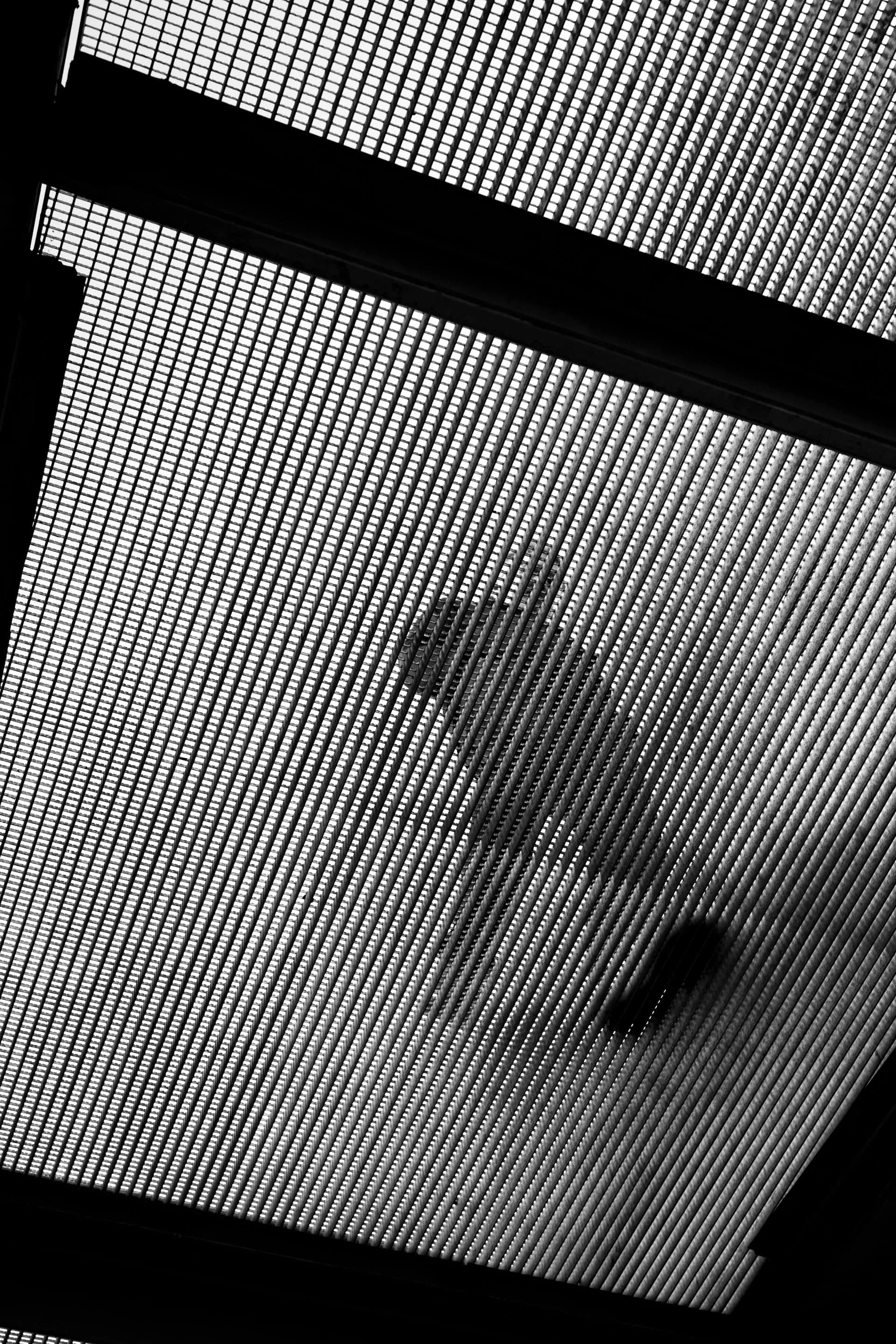 Visual Story