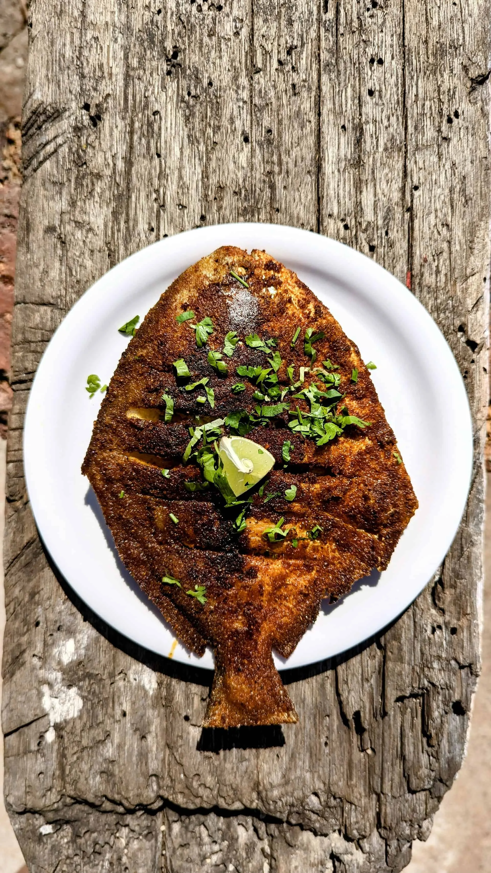 Alchemy of Texture & Depth of Umami: Flavor Transformation Through Dry-Aged Fish Technique