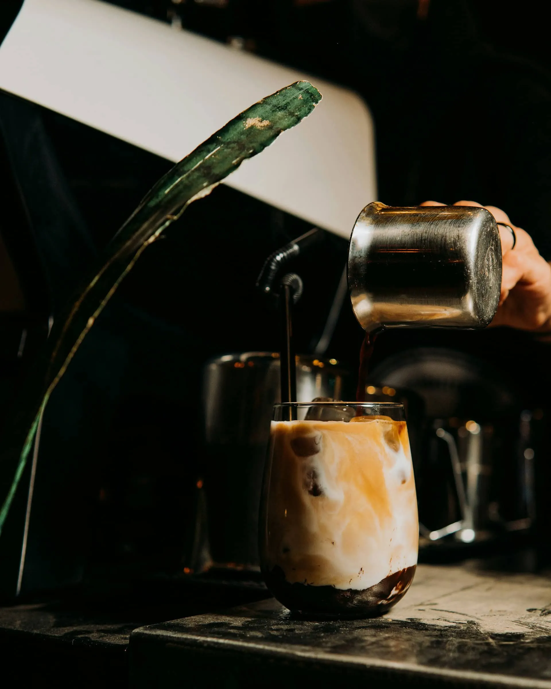 Micro-Lot Coffee: Menelusuri Jejak Rasa yang Unik dari Satu Petak Tanah Perkebunan