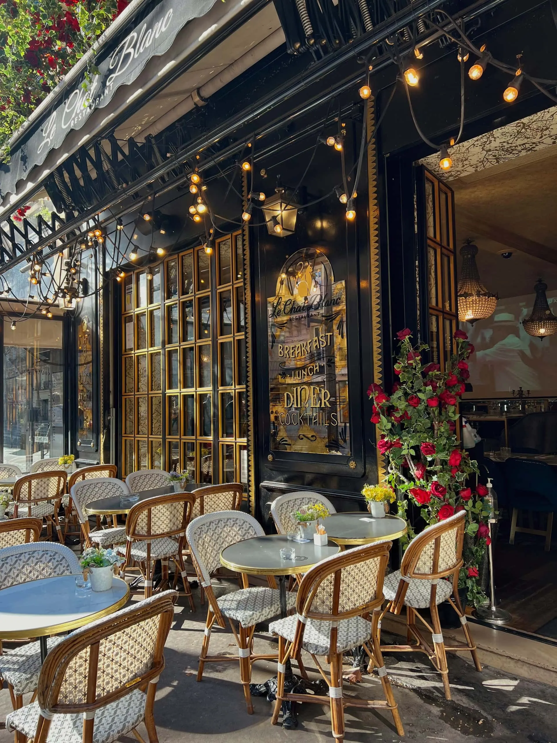Hidden Brasserie: Menemukan Romantisme Paris di Sudut Kota