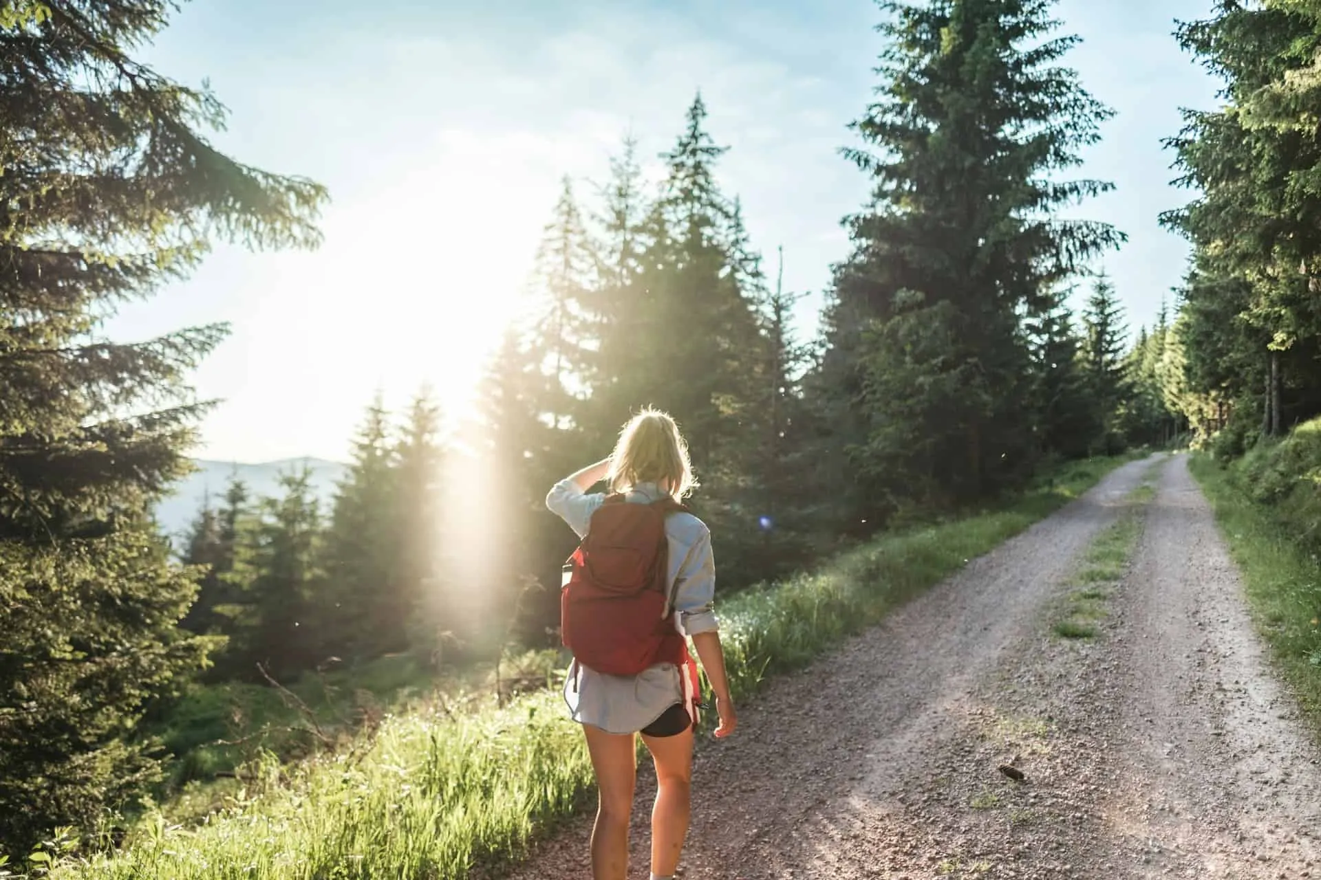 Micro-Ecotourism: Finding Luxury in Low-Carbon Travel